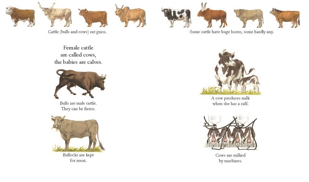 Farm Animals: 6.75 x 8 x 0.20 / Paperback Picture Book / 32