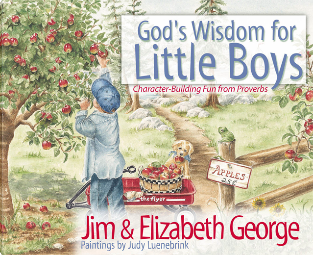 God’s Wisdom for Little Boys | Harvest House