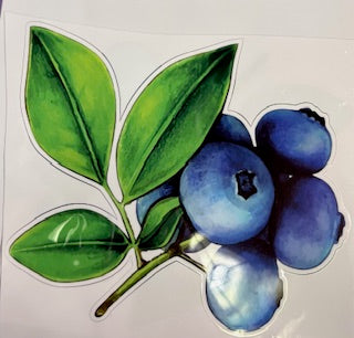 Blueberry Decal | Timber & Tweed Outfitters