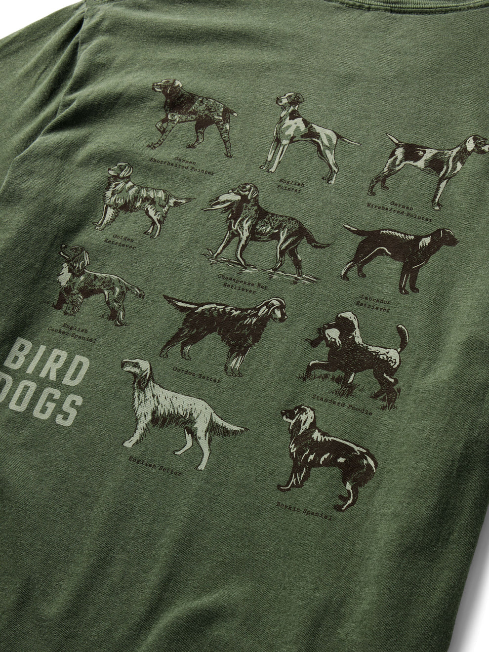 Bird Dog Tee in Willow | Duck Camp