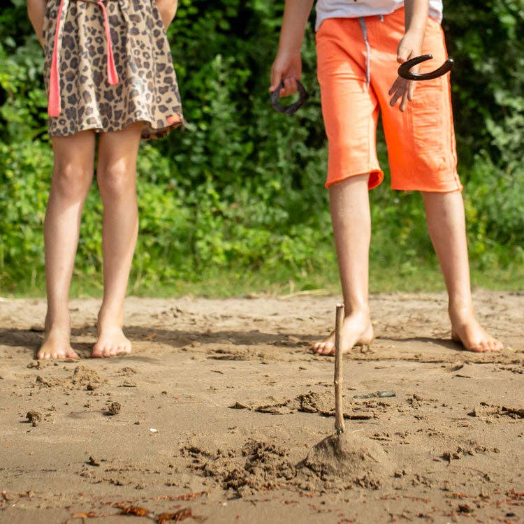 Huckleberry Horseshoes