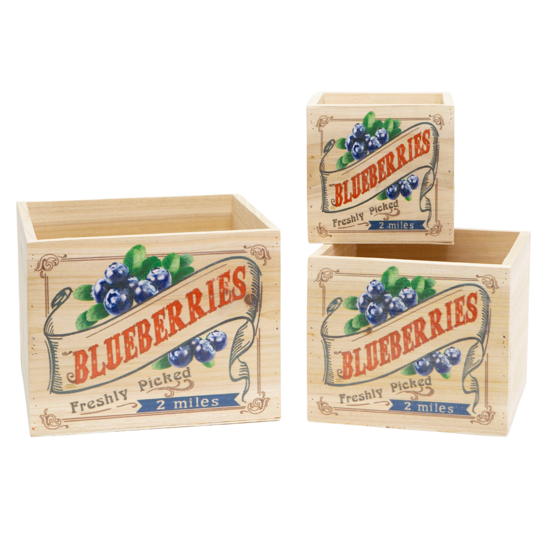 Jacobson - Assorted Blueberry Wood Crates - Set of 3