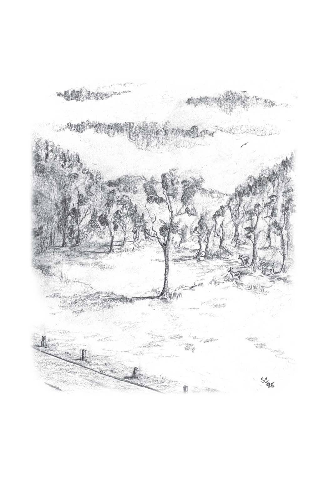 Harvest House Publishers Gift & Specialty Books - A Look at Life from a Deer Stand (Milano Softone)