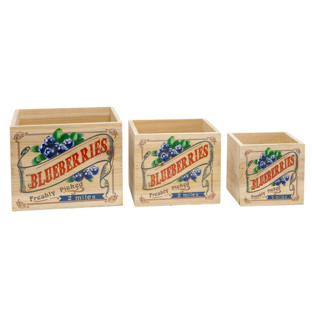 Jacobson - Assorted Blueberry Wood Crates - Set of 3