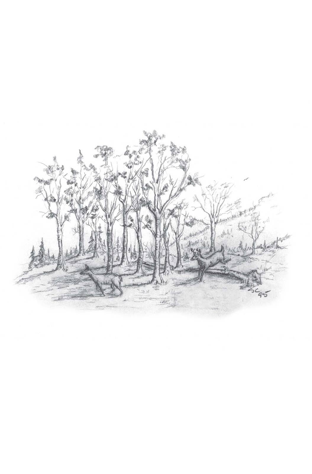 Harvest House Publishers Gift & Specialty Books - A Look at Life from a Deer Stand (Milano Softone)