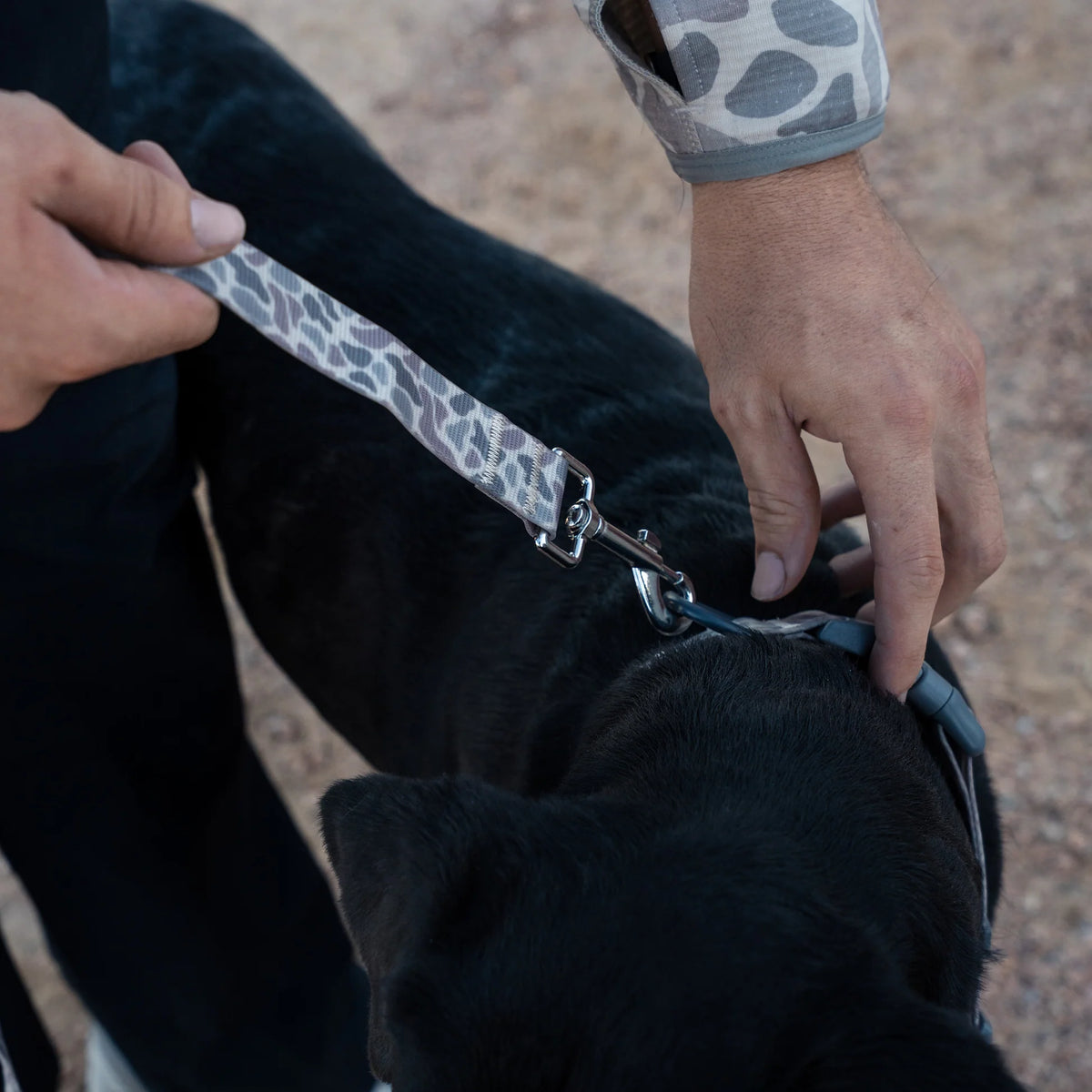Dog Leash - Burlebo