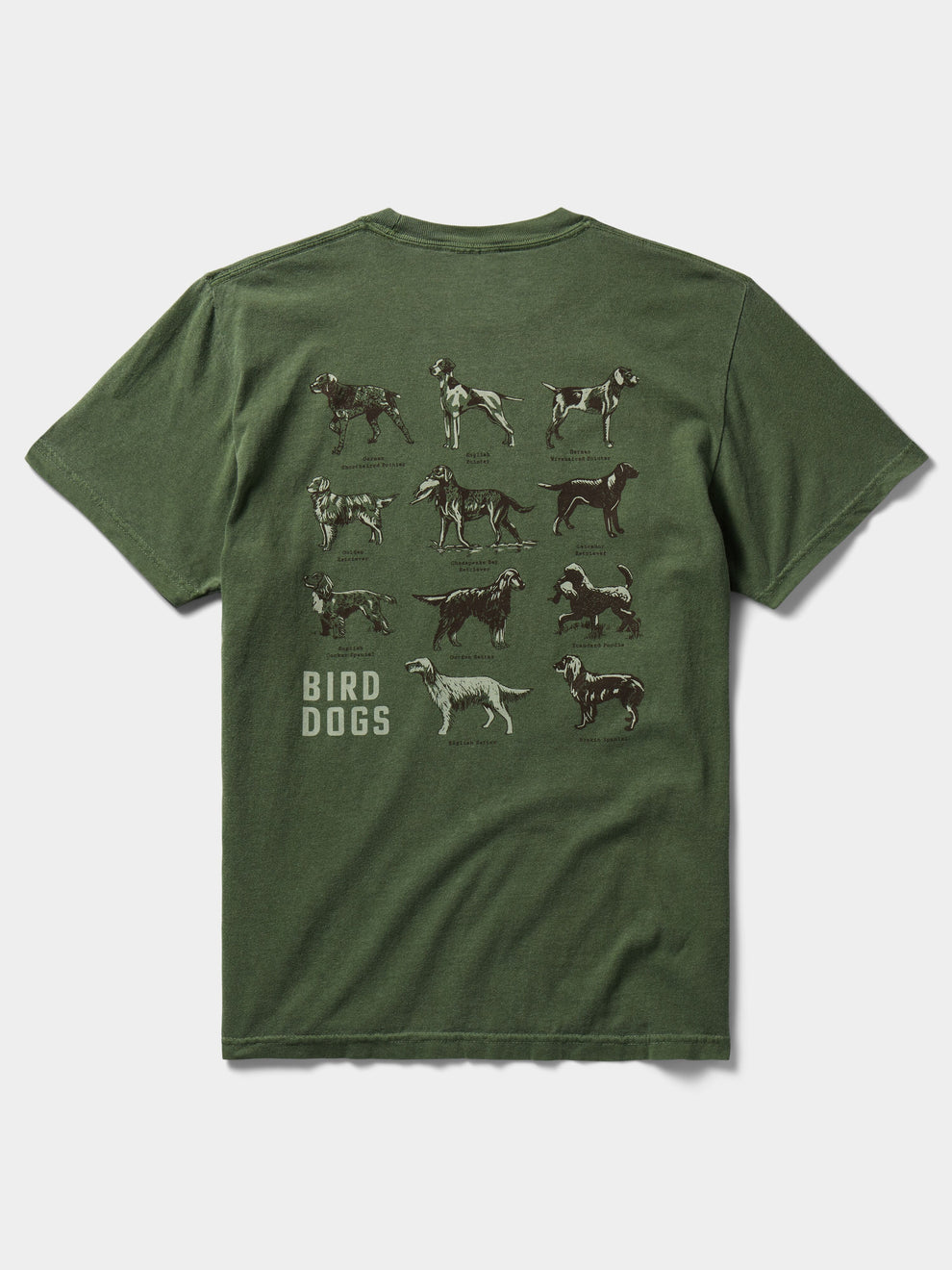 Bird Dog Tee in Willow | Duck Camp