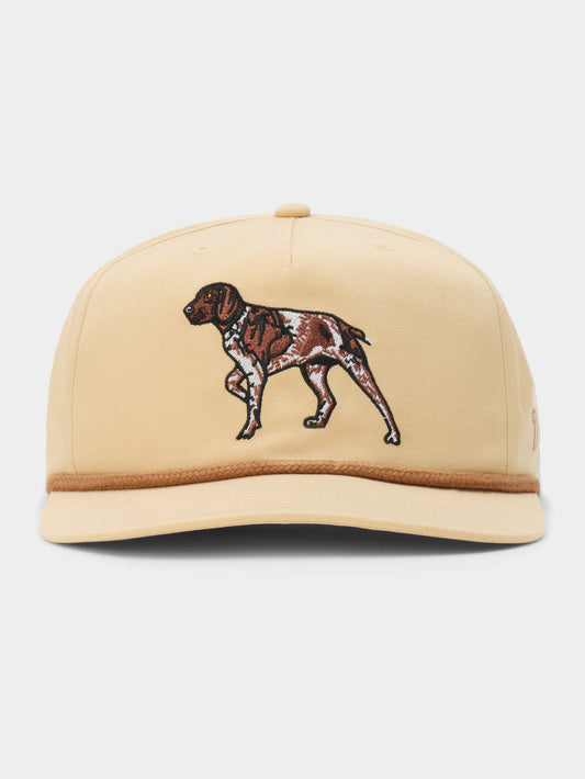 Pointer Hat | Duck Camp