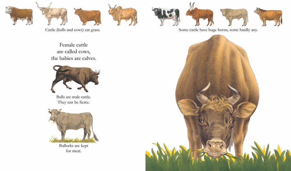 Farm Animals: 6.75 x 8 x 0.20 / Paperback Picture Book / 32