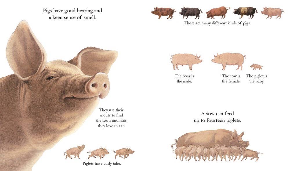 Farm Animals: 6.75 x 8 x 0.20 / Paperback Picture Book / 32