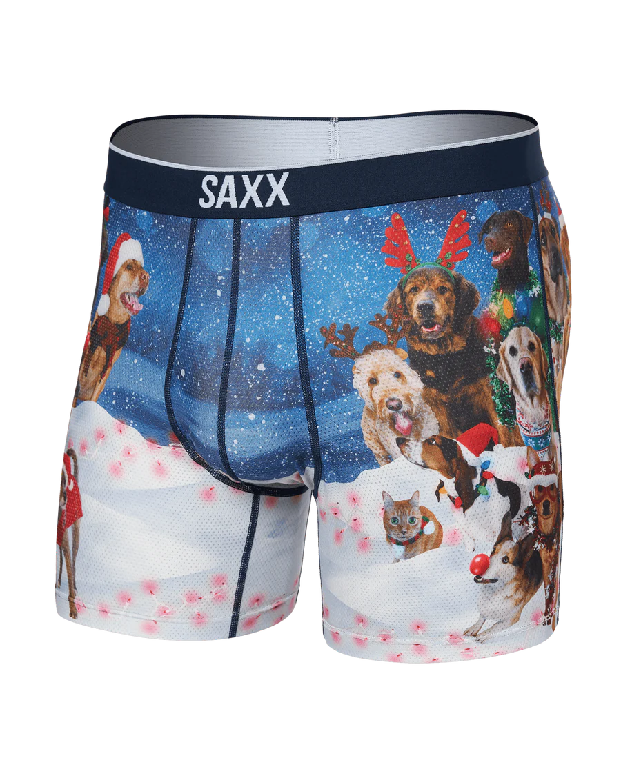 VOLT BREATHABLE MESH BOXER BRIEF-DOGS OF SAXXMAS-BLUE | SAXX